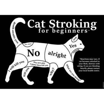 Mini poster di Grindstore: Cat Stroking per Principianti