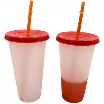 700ml Reusable Cold Cup with Lid