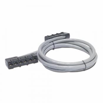 Cable de Comunicación APC 49 ft Cat5e UTP con 6 RJ45, Gris