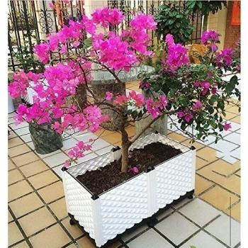 Maceta Balcón Bio‑Cultivo