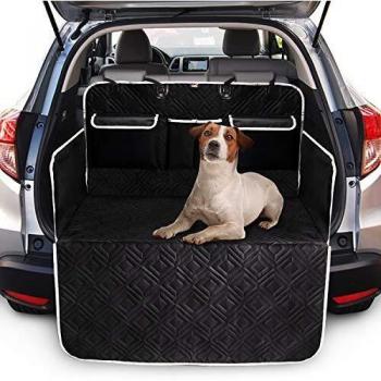 AutoPaw Protector