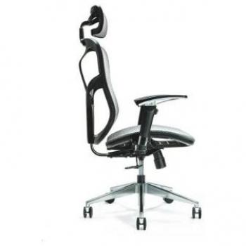 Chaise Ergonomique de Bureau Ergo 500