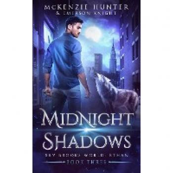 Midnight Shadows (Sky Brooks World: Ethan, Band 3)