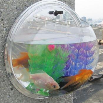 Wall Hanging Fish Bowl