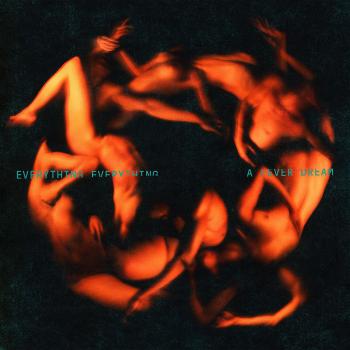A Fever Dream VINYL Vinyl Everything Everything