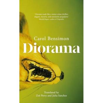 Diorama : an engrossing suspense novel set in 1980s Brazil