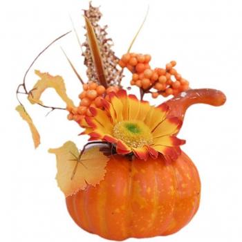 Autumn Decorative Pumpkin for Home and Photography