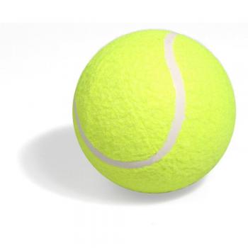 LIXADA 9.5-Inch Tennis Training Balls for Kids & Adults