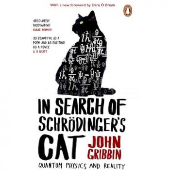 In Search Of Schrodinger's Cat : Updated Edition