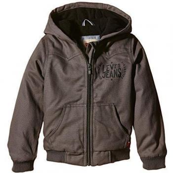 Sudadera Levi's Bastian Gris Eiffel Tower