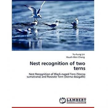 Nest recognition of two terns: Nest Recognition of Black-naped Tern