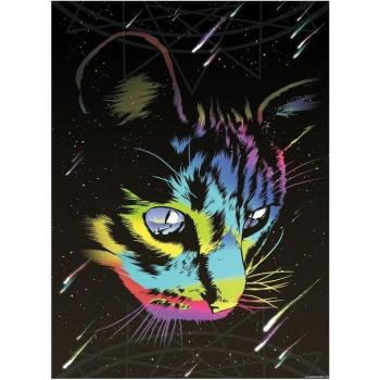 Poster Gatto Arcobaleno Non Ortodosso