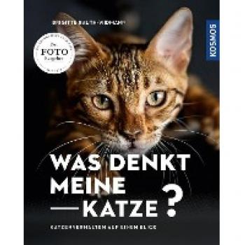 Was denkt meine Katze: Katzenverhalten auf einen Blick