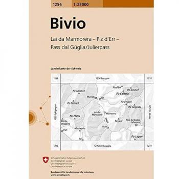 Bivio