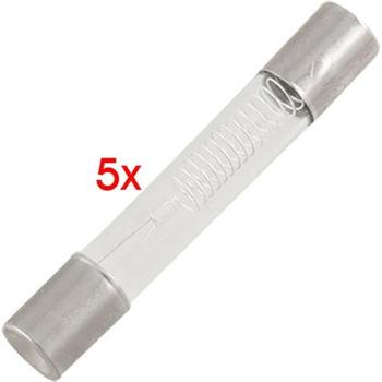 5 Pcs 5KV 0.75A 750mA Fuses for Microwave Oven
