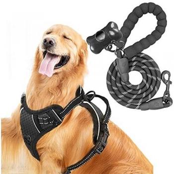Veste Respirante Rembourrée pour Chiens de Taille Moyenne