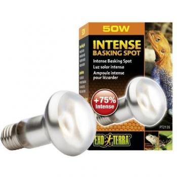 Exo Terra Tightbeam Tageslicht Wärmespot – R20, 50 W, E27‑Einschraubung, UVA‑schützend