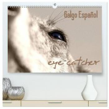 Premium Galgo Wandkalender 2024