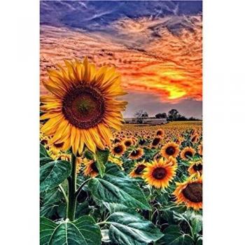 POENOEN Kit de peinture diamant 5D Tournesol, coucher de soleil personnalisé, strass complet, grand format, art diamant pour enfants, décoration d'accueil, Noël (30x40cm)