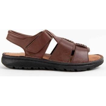 Sandalia de piel masculina Purapiel Beira 4 en tono marrón