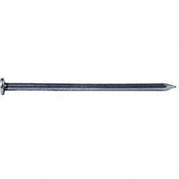 Clou plat Cavatorta en acier – longueur 50 mm, diamètre 2,4 mm – poids 5 kg
