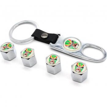 Pack Pneumatique DSYCAR Zinc – 4 pneus antivol, valves, tiges air + clé boucle