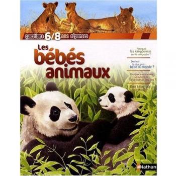 BEBES ANIMAUX
