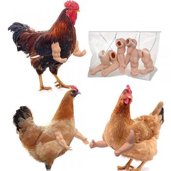 Guantes de Puño para Gallinas Szlykj