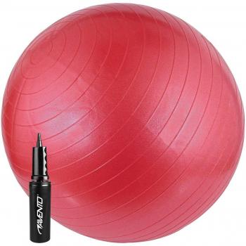 Schreuders Sport Avento PVC Gymnastic Ball with Pump