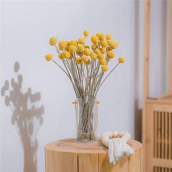 Bouquet Jaune – 80 Fleurs Billy Button