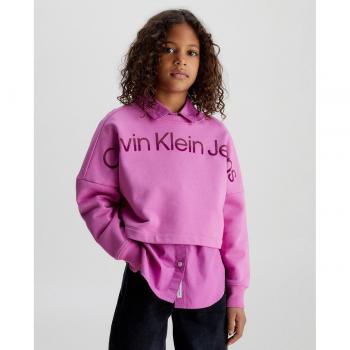 Calvin Klein Jeans Mädchen Sweatshirt Hero Logo Rosa Regular Fit 12Y