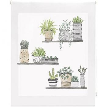 Estor Enrollable de Cocina Estampado Digital 150x180 cm HSCC91002