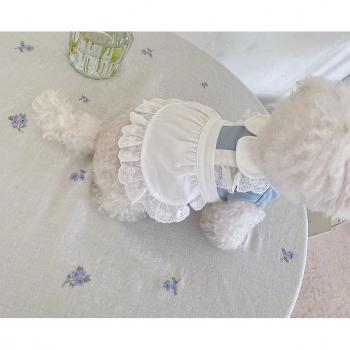 Bichon Teddy Élégance Fleurie