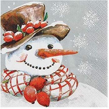 20‑Pack Green Frost Napkins – Stow Brand