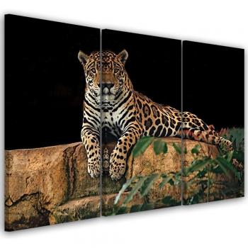 Toile 60×40 cm – Léopard, Panthère, Chat (orange)