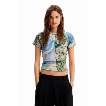Cotton Blue Desigual Slim Short Sleeve Shirt XS