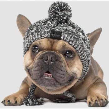 Cabecita Fría Bulldog