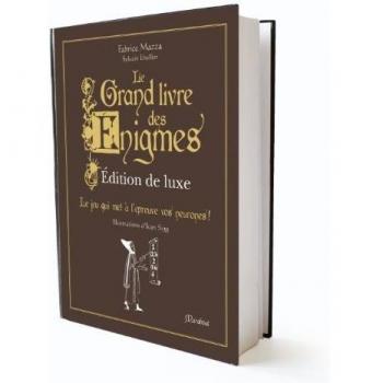 Fabrice Mazza Le Grand Livre Des Enigmes : Près De 500 Énigmes Casse-Tête Et Jeux De Logique !