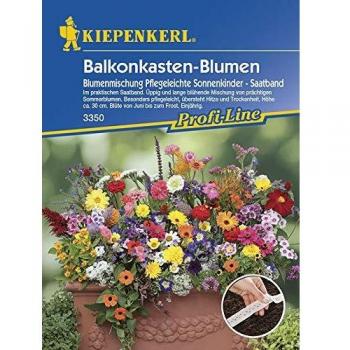 Blumensamen-Saatband, Balkonkastenblumen 'Pflegeleichte Sonnenkinder', bunt