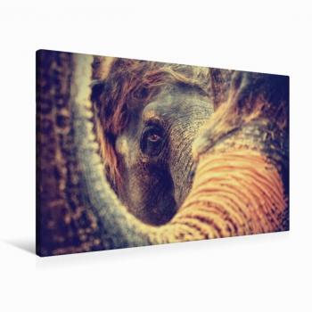 Premium Textil-Leinwand CALVENDO 90 x 60 cm – Querformat DURCH‑BLICK, Kunstwerk Antje Wenner‑Braun