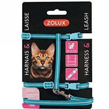 Harnais et laisse réfléchissants pour chat