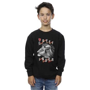 Gryffindor Pride Lion Shirt – Boy’s Edition, Size 9, Black