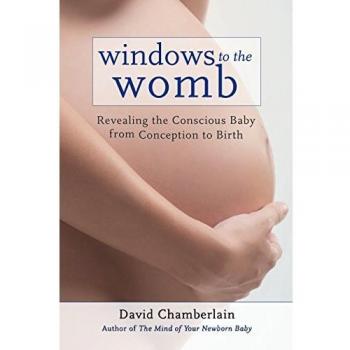 Windows to the Womb by David Chamberlain