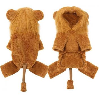 Dog Lion Hoodie for Winter