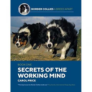 Secrets Of The Working Mind