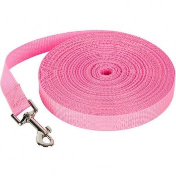 Collar y Correa de Nylon para Mascotas