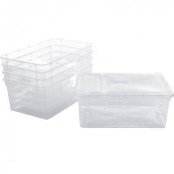 Récipient transparent 8-sections pour élevage de petits reptiles