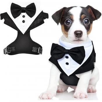 Disfraces de Cumpleaños Para Perros Elegantes