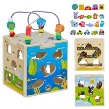 Educational Motor Skills Toy