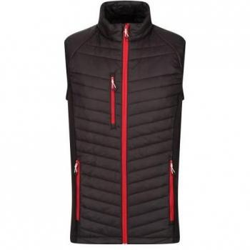 Chaleco Navigate Acolchado para Hombre